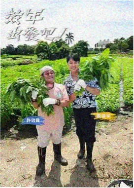 老牛影视综艺 明星大冒险